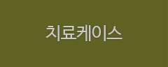치료케이스