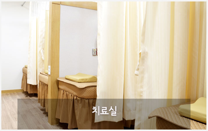 사진8